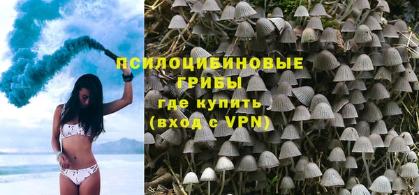 мдпв Осинники