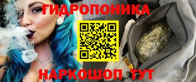шишки Заводоуковск