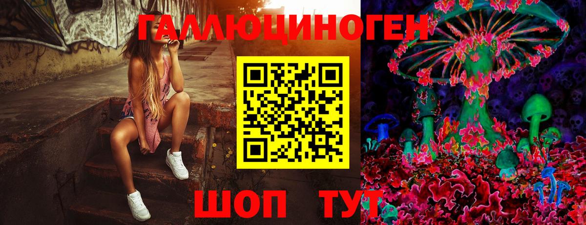 Псилоцибиновые грибы MAGIC MUSHROOMS  Вход с VPN  Курчатов 