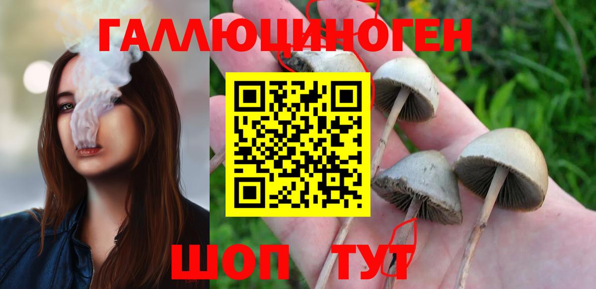 Галлюциногенные грибы мицелий Курчатов